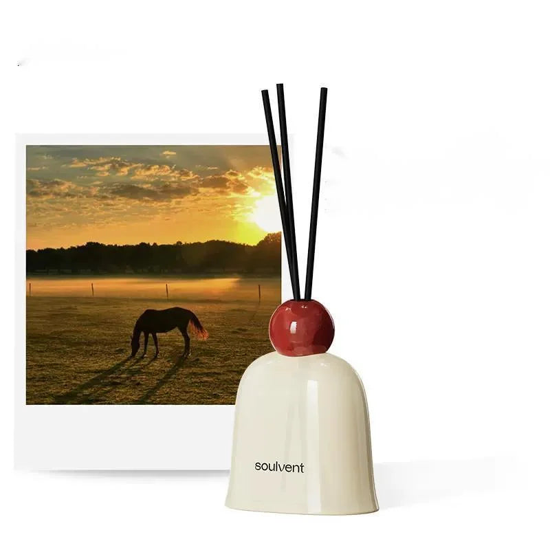 Luxury Aroma Diffuser Bottle